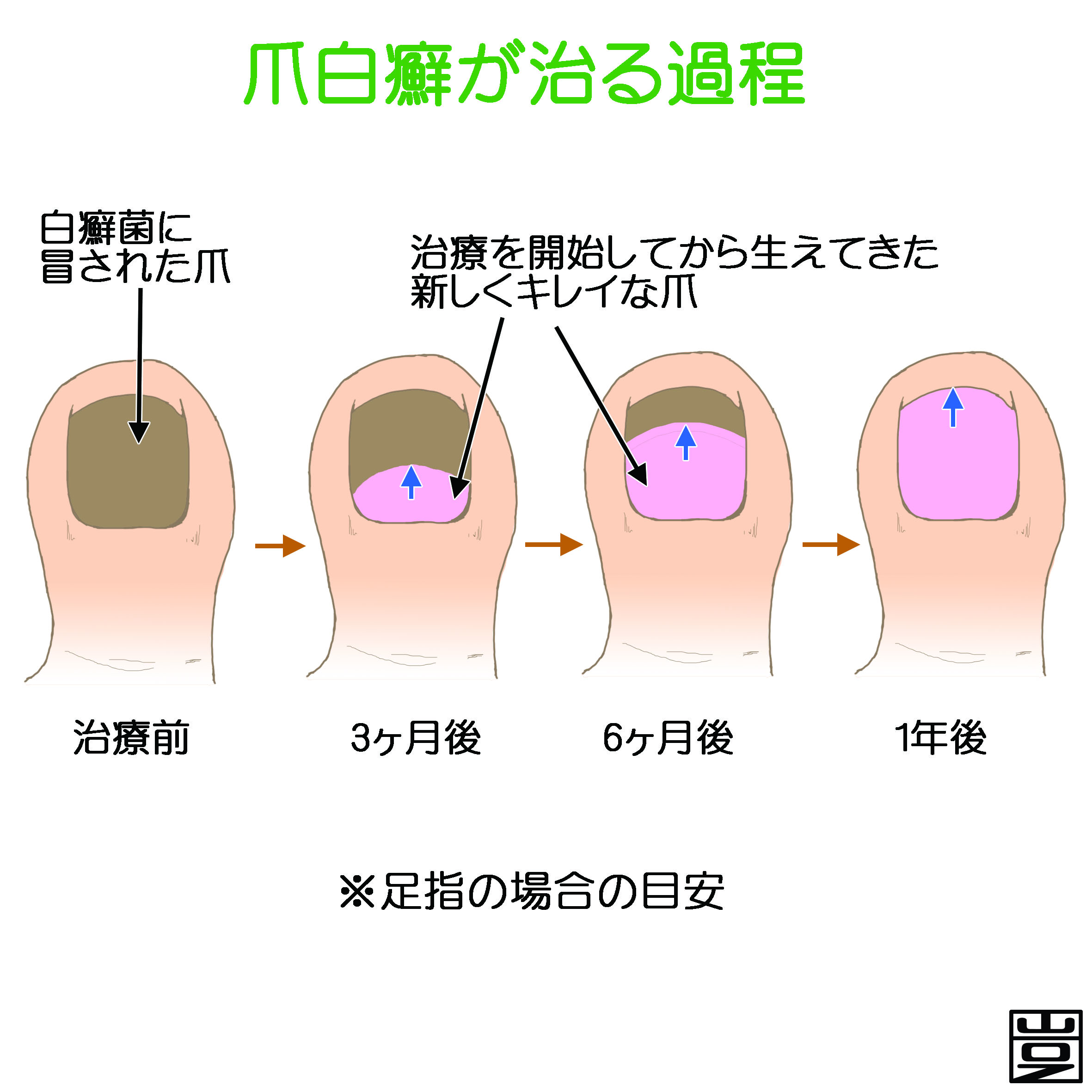 一般皮膚科 | くまのみ皮ふ科クリニック