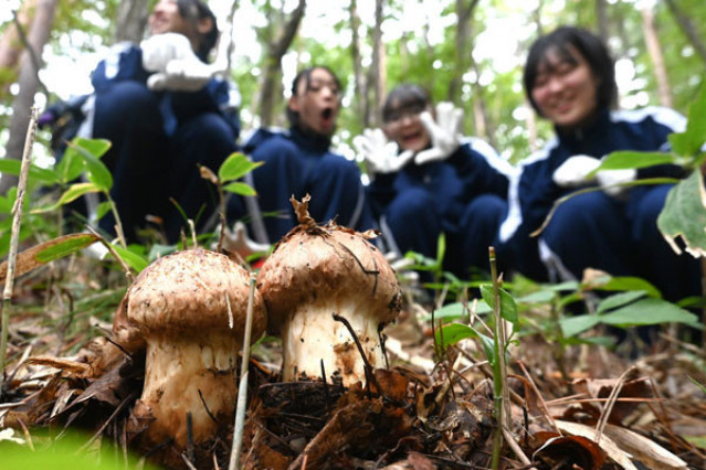 まつたけ学童 | まつたけ幼稚園 | 埼玉県行田市