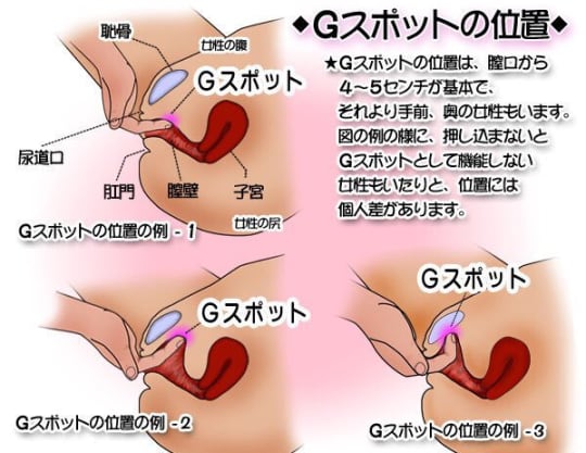 楽天ブックス: 潮吹き女王miruが女のイカせ方と潮吹きを主観映像で分かりやすく教えてくれるHow to SEX -