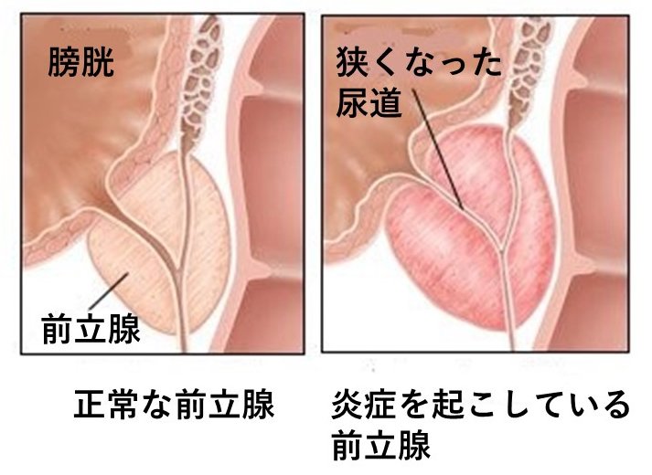 翔田千里 おっパブなのに手マン、クンニ、フェラ、中出しOKな究極の美熟女風俗｜無料エロ動画 動ナビ動画