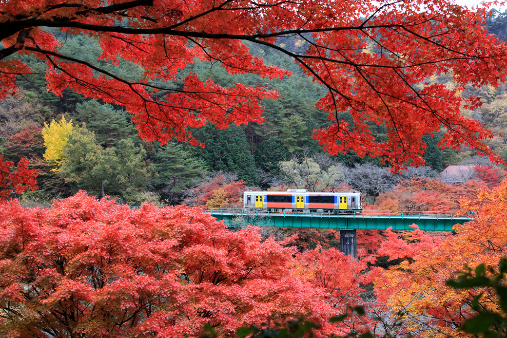 韓国高速鉄道KTX | 韓国の交通｜韓国旅行「コネスト」