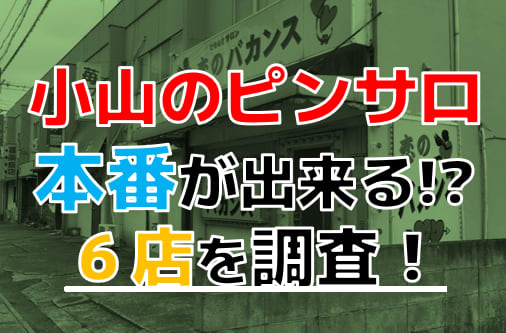 小山市の風俗求人(高収入バイト)｜口コミ風俗情報局