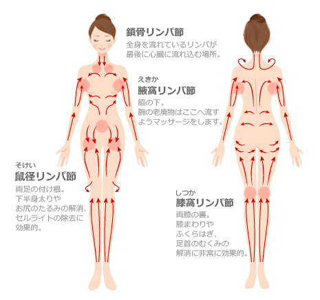 膝裏＆鼠径部の「深部リンパ流し」で足のむくみ改善、ほっそり美脚に！ ｜ からだにいいこと