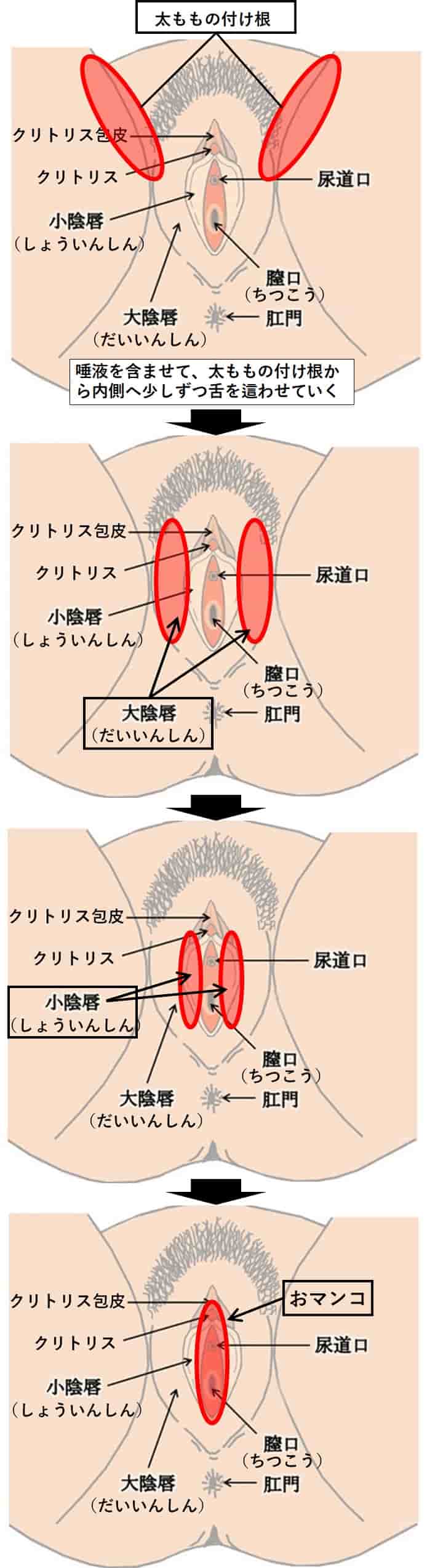 クンニ初心者向け】風俗嬢が本当に悦ぶ気持ちいいクンニのやり方│【風俗求人】デリヘルの高収入求人や風俗コラムなど総合情報サイト | 