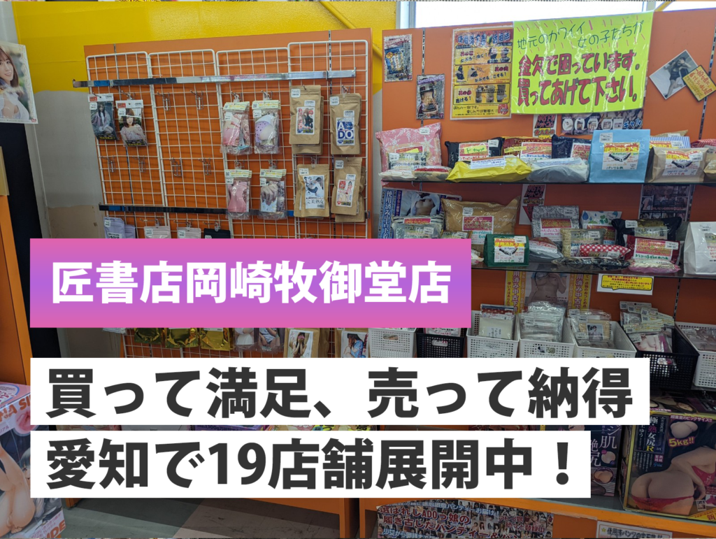 実録】名古屋のアダルトショップ6選！ラインナップや口コミを徹底レポート！ | otona-asobiba[オトナのアソビ場]