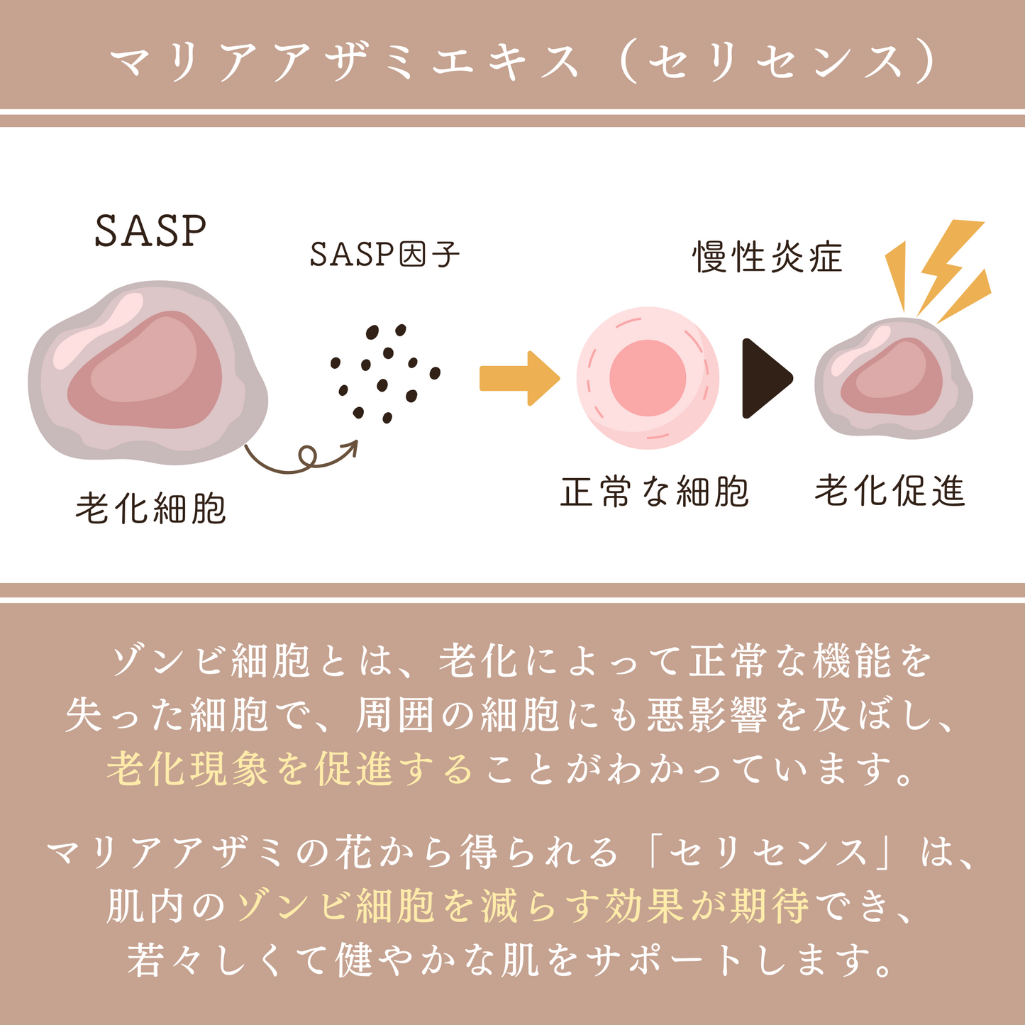 2024 礼泉 ホテル]袁家村スイスタッチズ温泉リゾートホテルの観光ガイド（12月更新）