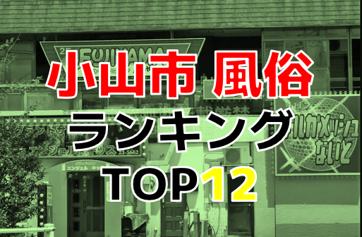 摘発された本サロ「セクシービーム」で有名な栃木県の小山に行って来たけど、裏風俗はまだまだ健在だった | 東京変態ガイド