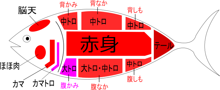 マグロ」の意味と使い方・語源・由来・反対語｜下ネタ/鉄道 - 言葉の意味を知るならtap-biz