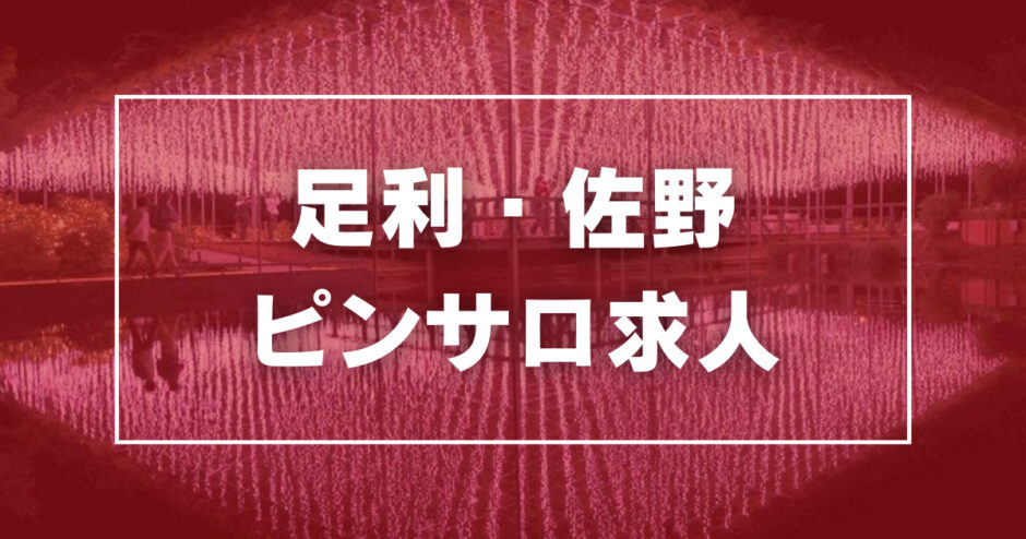 本番/NN/NSも？蒲郡付近の風俗2店を全70店舗から厳選！【2024年】 | Trip-Partner[トリップパートナー]