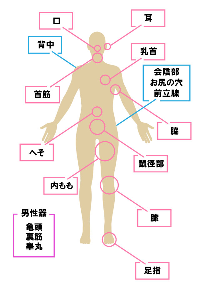 Gスポット・中イキ性感帯の開発方法と条件【アニメ】