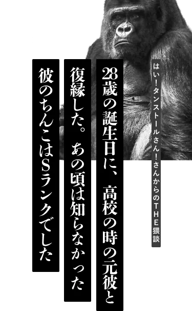 コックリング特集 着けるだけのカンタン増強！｜大人のおもちゃとアダルトグッズの通販ショップNLS