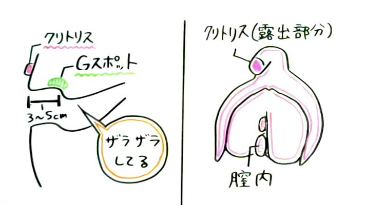 潮吹きとGスポットの密接な関係【やり方解説】女性必見！（画像つき） | 【30からの風俗アルバイト】ブログ