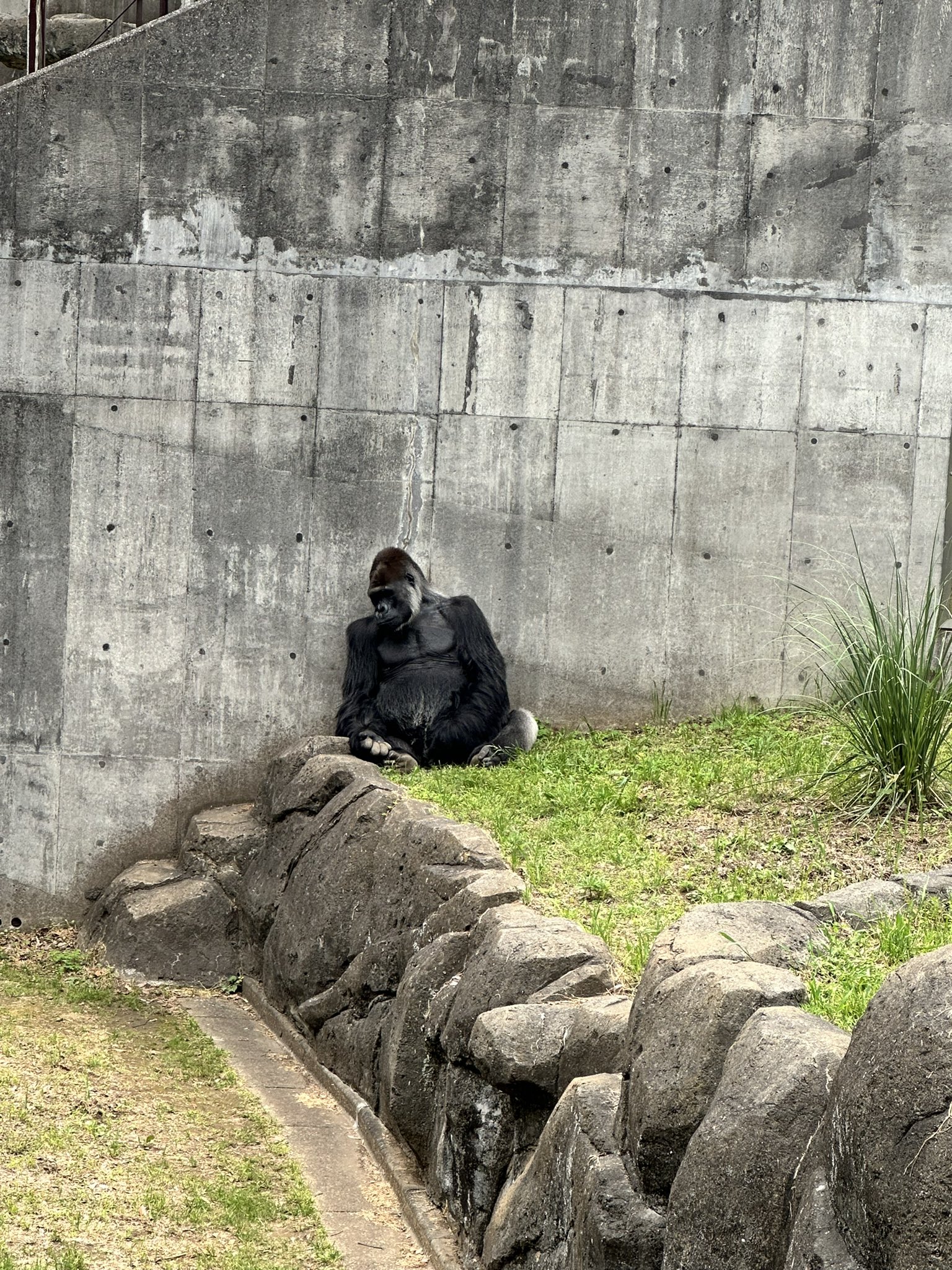 大阪ごはん | 一番餃子 栄町店 沖縄の栄町って場所に香港風の小さくて汚い商店街が