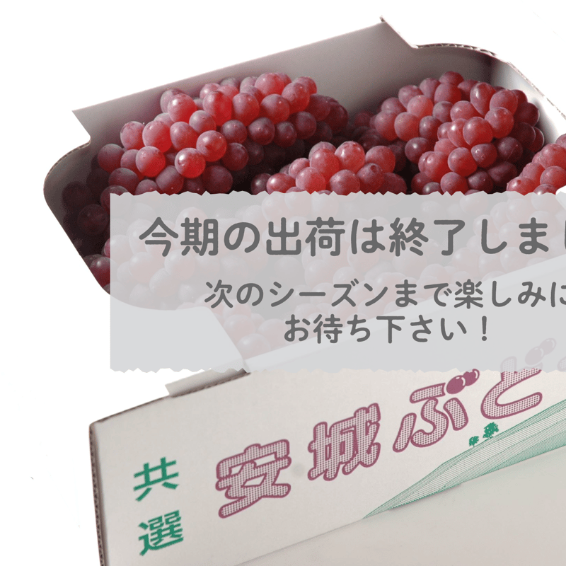 ホテルホテルアベスト新安城駅前安城市、3*(日本) - JP¥7469から