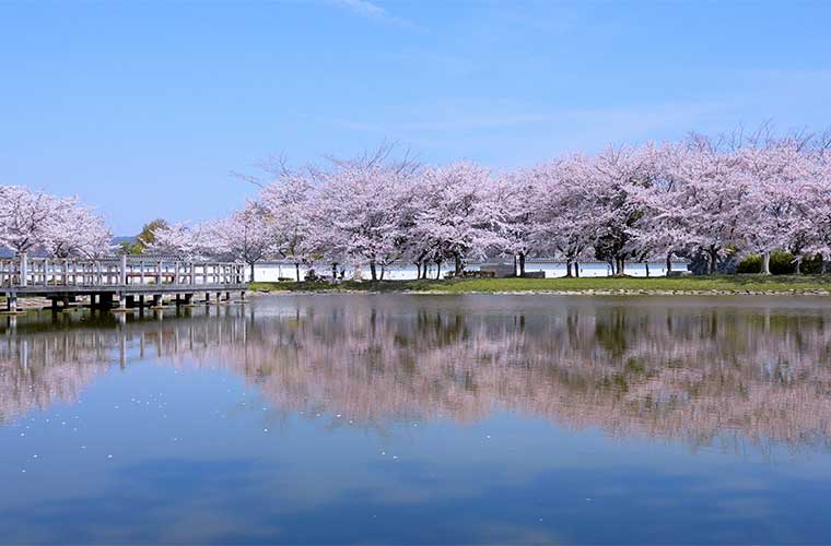 館内｜あこうビジネスホテル桜館｜赤穂／西日本の素敵な宿・高枕(たかまくら)