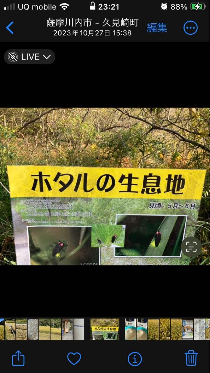 残りわずか箱詰めビニール10x2新米❗️ 令和6年新米なつほのか20㎏鹿児島県産 - 食品