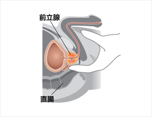 自律神経を整えるには？健康的な生活を送るための7つの方法