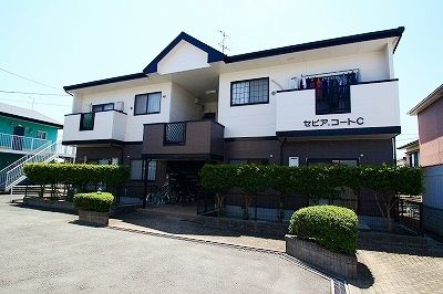 美人妻・駿河屋 — 豊洲市場 魚がし横丁-プロの品揃え