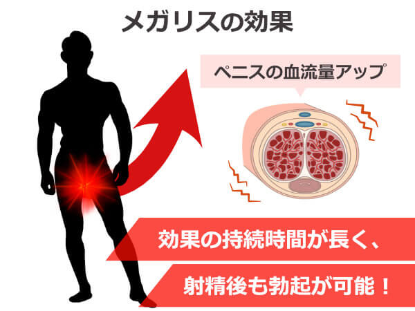 メガリス通販｜ED治療薬｜シアリスジェネリック｜個人輸入で購入