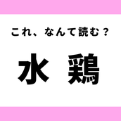 しりとり『さ』から始まる言葉！文字数ごとに紹介するよ【説明付き】