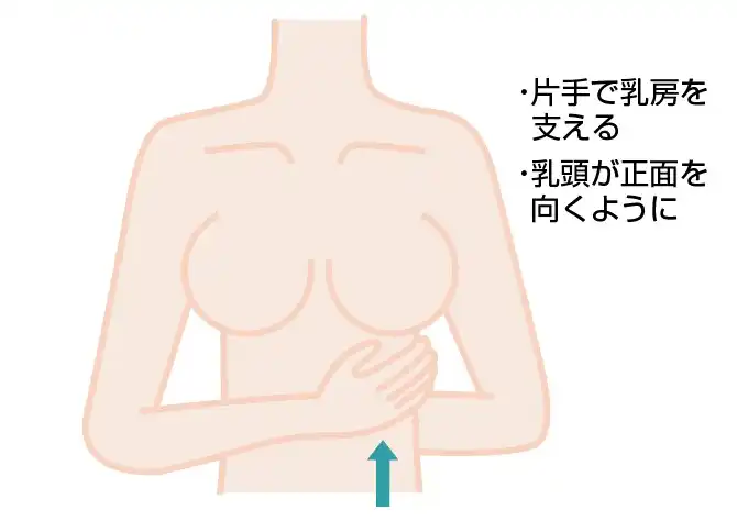 乳首イキとは？愛撫でイク舐め方や吸い方 - 夜の保健室