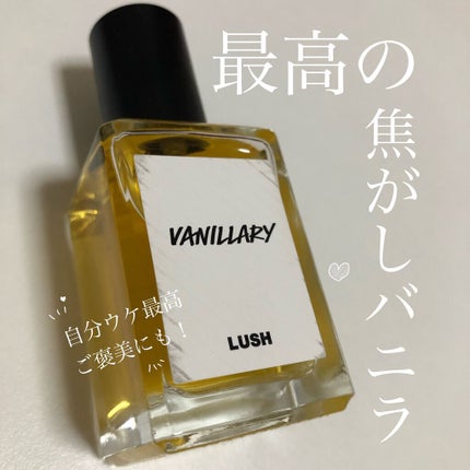 Amazon | LUSH ラッシュ Big