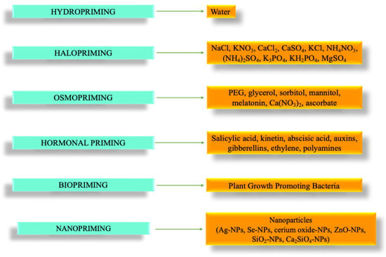 The Cyclin-dependent kinase