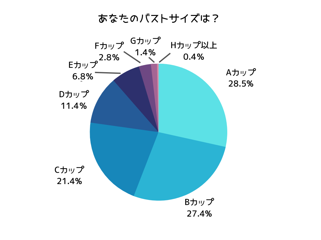 大きいサイズ レディース ブラジャー