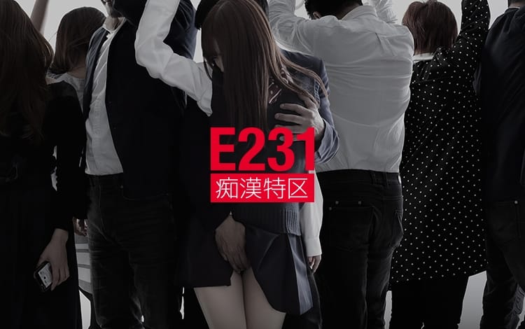 E231 痴漢特区 -