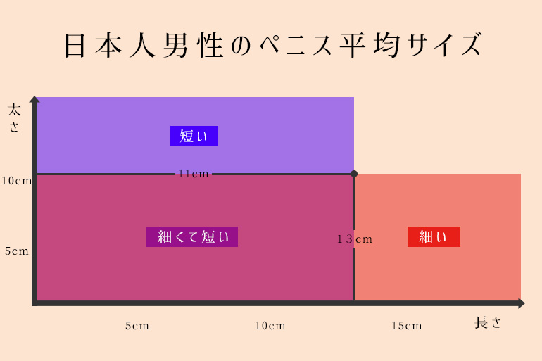 ペニスサイズ：世界ランキング - メンズアカデミー