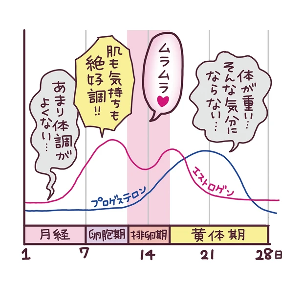 女性にも発情期はある？ムラムラするメカニズム