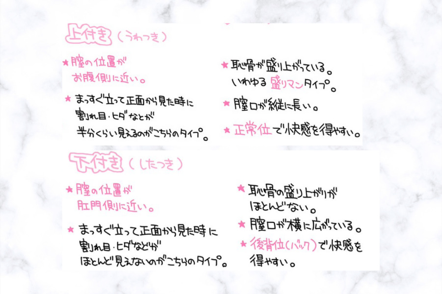 膣の位置は年齢で変わる！？上付き、下付きについて婦人科医に聞きました。 | ランドリーボックス