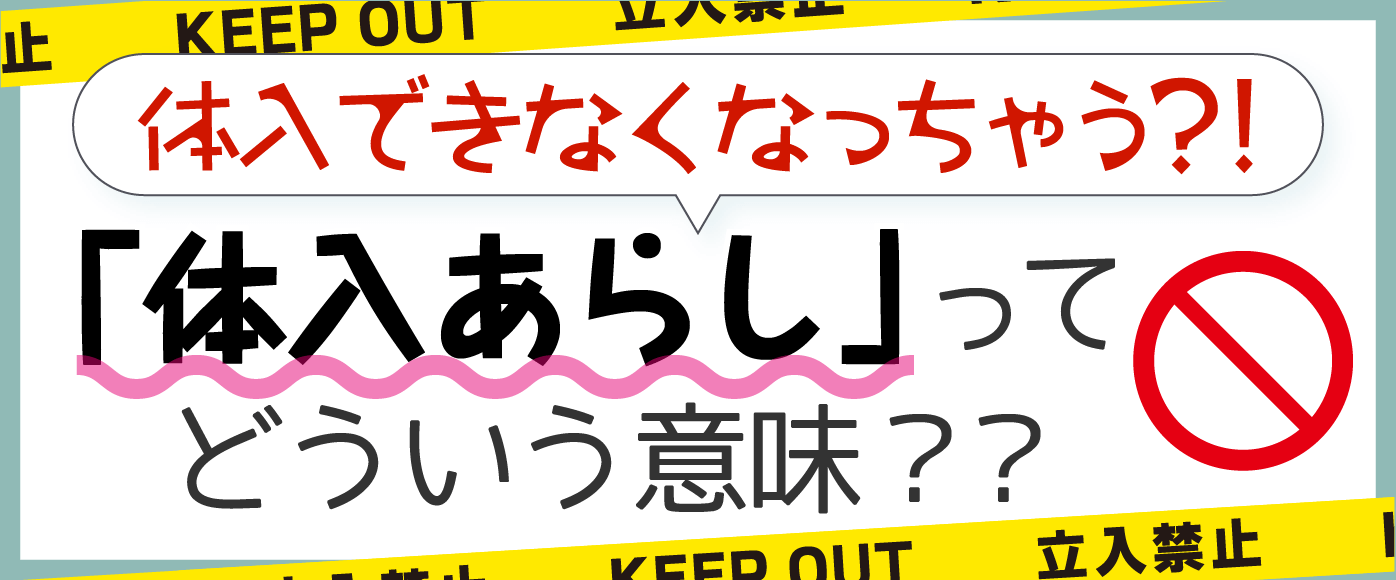 ストーリー｜美咲ナンバーワン!!｜日本テレビ