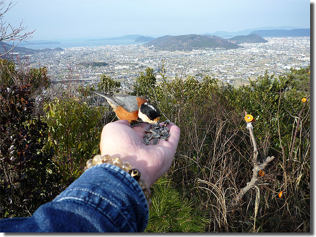 堂山（高松市）に登ってきた』高松(香川県)の旅行記・ブログ by ひらりんさん【フォートラベル】