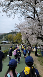 松神子太鼓台（大足智姫神社） 新居浜太鼓祭り川東地区太鼓台総集編 愛媛県新居浜市｜西条異景