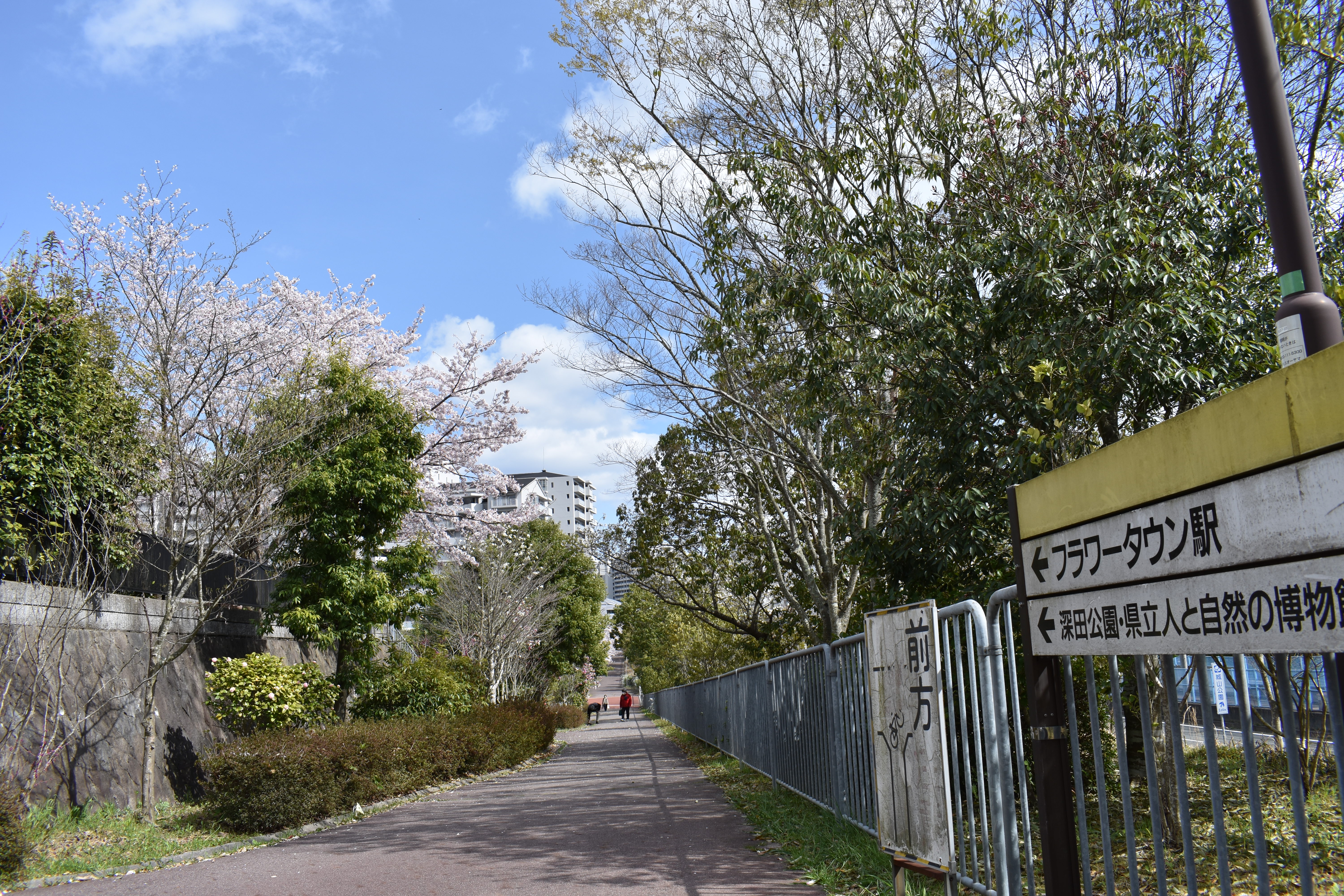 近旅神戸: 三宮バスターミナルとフラワータウンを結ぶ特急バス