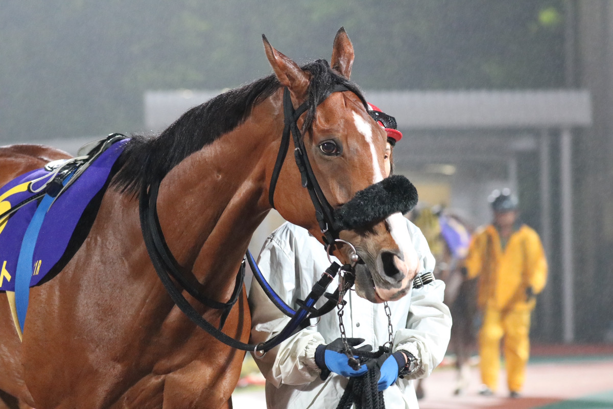 金沢の名手・吉原寛人が地方競馬通算３０００勝 「もちろん通過点。次は地方重賞最多勝を目指して頑張ります」（東スポ競馬 ）｜ｄメニューニュース（NTTドコモ）