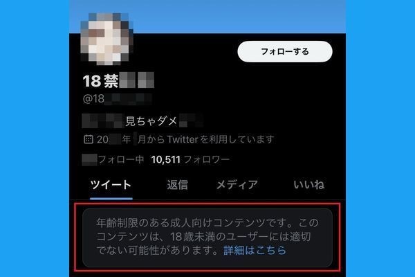 裏垢・エロ垢 Twitterに過激な自撮りを載せちゃう素人 [ID入り]