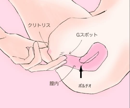 男性必見！クンニで女性がイクためのコツ4つ │ イケない女性が絶頂を感じる方法もご紹介 | Ray(レイ)