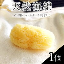 サニタリー用品 生理用品 海綿 代用品