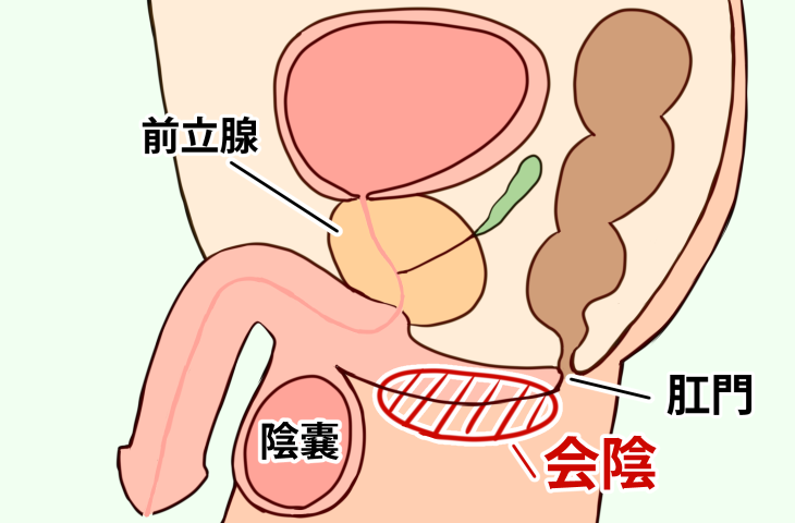 腰振りオナニストはどんな体勢でどんな固定方法でしてるの？ – おなほっと