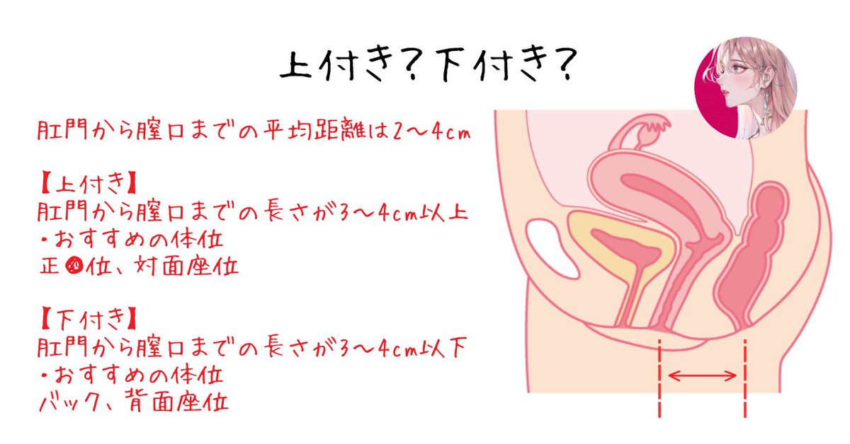 上付きや下付きって？膣の形状の違いや判別方法について【快感スタイル】