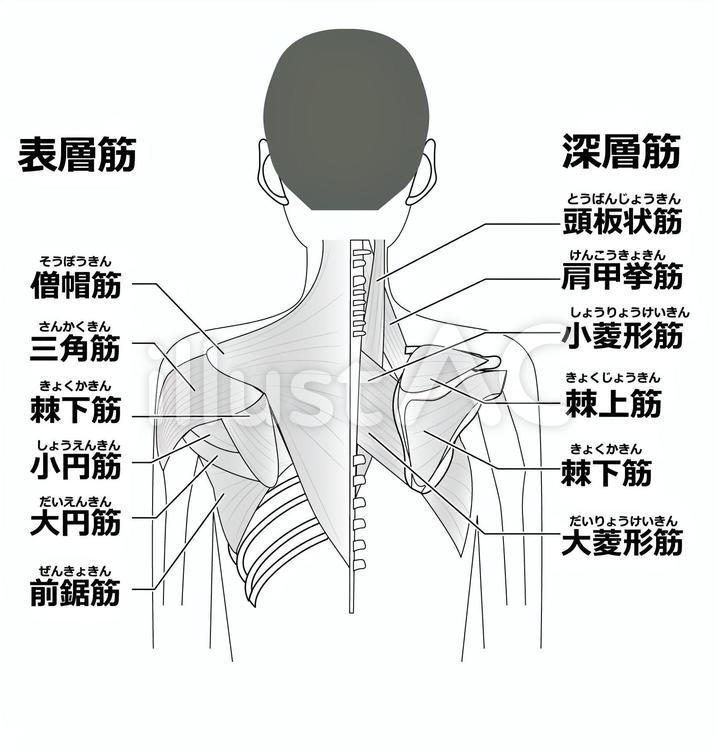 医療法人誠恵会のなか内科｜診療科目：内科・消化器内科・内視鏡内科・禁煙外来・乳腺外科・その他（JR大宮駅 東口より徒歩7分） -