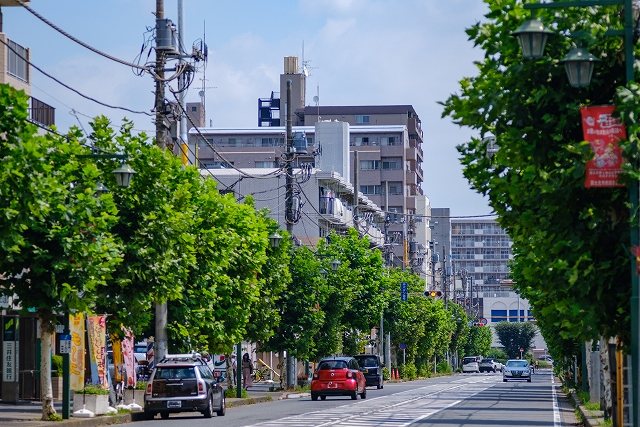 みずほ台から池袋への移動手段ごとのルート検索 - NAVITIME