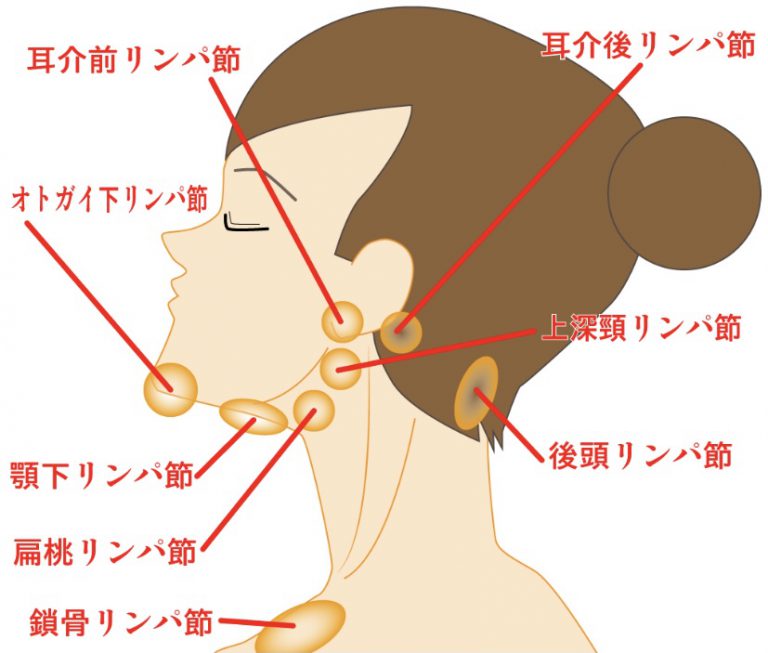 デコルテを綺麗にするには？きれいに見えない原因や正しいケアを解説！ | 自由美在