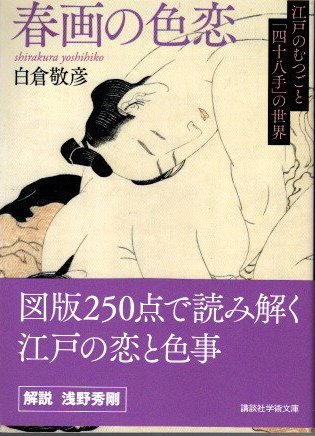 48手の体位をイラスト図解一覧！意味や解説で体位を学んでセックスライフを豊かに！ - 快感スタイル