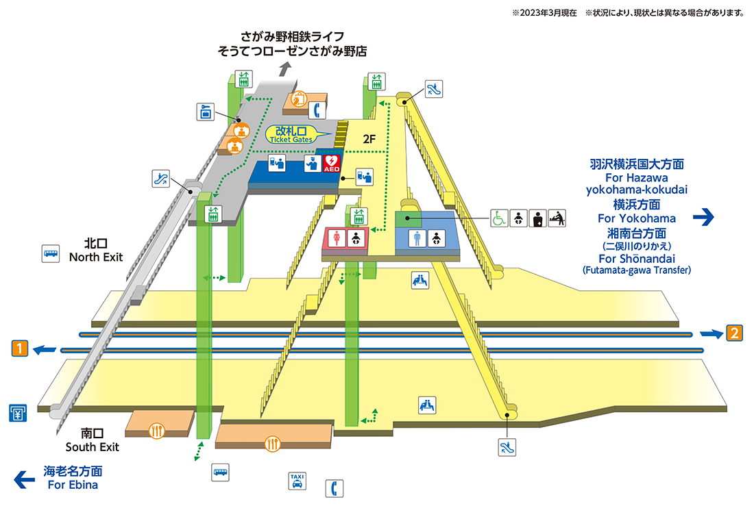 地下サウナを貸し切り状態「ホテル梶ヶ谷プラザ」【 サウナ散歩 178 湯目 】