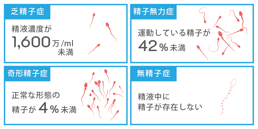 金玉を大きくする方法！平均サイズ・方法・メリットなどを徹底解説 | ザヘルプM