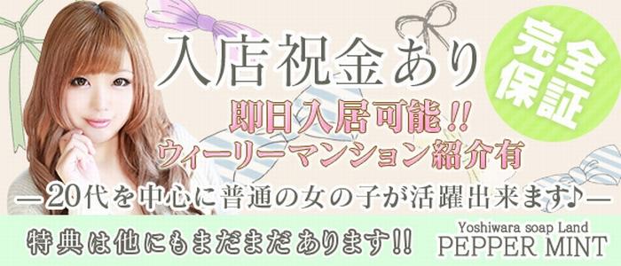 吉原プリティガール「せいか」嬢口コミ体験談（元ペパーミント）・AV女優あの子とデロデロN○フ○ック