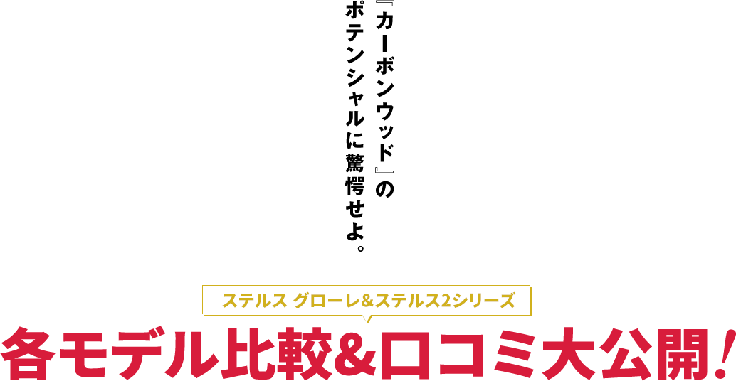 ダウン ダウンジャケット エコダウンスタンドカラーオーバーサイズブルゾン レディース :